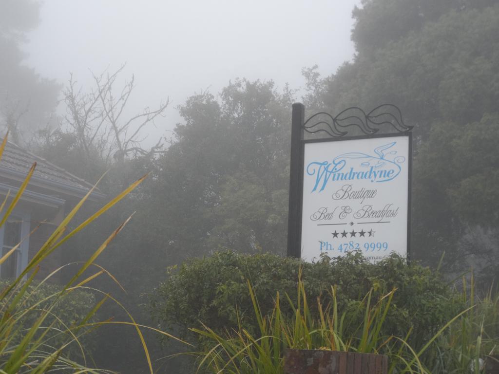 Windradyne Boutique Bed & Breakfast Katoomba Buitenkant foto